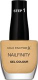 Max Factor Nailfinity Nº 705 Award night 12 ml