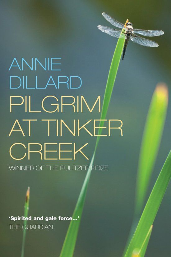 Pilgrim at Tinker Creek (Paperback)