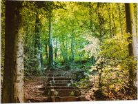 Merkloos / Sans marque Foto op Acrylglas - Stenen Trap in Bloeiend Groen Bos - 100x75 cm