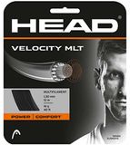HEAD Velocity MLT 1.25 mm Enkele Tennissnaar Zwart