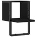 VidaXL Wandschap met stang 20x25x30 cm zwart
