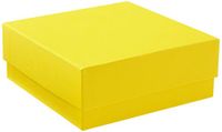 NeoLab 2-2677 Kryo opbergbox economy, 133 mm x 133 mm x 50 mm, geel