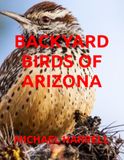 BACKYARD BIRDS OF ARIZONA
