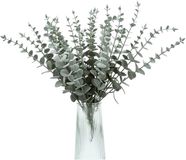 Merkloos Kunstmatige Eucalyptus Takken - Matte Groene Kleur - 38 cm Lang - 30 Stuks