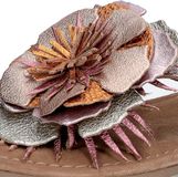 Lazamani Hilde Slipper Roze