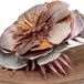 Lazamani Hilde Slipper Roze