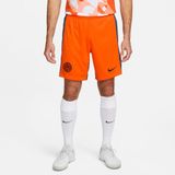 NIKE Inter heren Korte broek