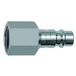 RIEGLER 141675-424.52-NPT nippel voor koppelingen NW 7,2, staal, NPT 3/8 IG, 1 stuk
