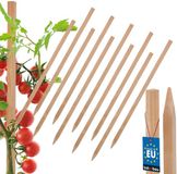 KOTARBAU® 10 st Tomatenstokken, Plantenstok, Beukenhout, 30 cm, Natuurlijk, Plantenstokken, Plantensteun, Houten Paaltjes, Houten Stokken, Tuinbenodigdheden