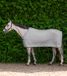 Waldhausen Economic Fleece Paardendeken - Zweetdeken - Silver Grey - Fleece - 4-seizoenen - Niet waterdicht