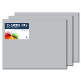 Raylu Paper® - 25 vellen karton 50 x 65 cm, 180 g/m², lichtgrijs