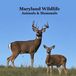 Maryland Animals and Mammals Kids Wildlife Book