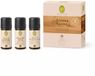 Primavera set aroma sauna strength & calmness bio (3 x 10 ml)