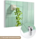 MuchoWow® Glass Painting 60x40 cm - Acrylic Glass Painting - Plant in Outlet - Photo on Glass - Paintings