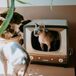 District 70 TELLY - Retro TV Krabmeubel voor Katten - Karton - Bruin/Multi