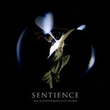 Sentience Vicisolum Productions Sentience (Silver Vinyl)