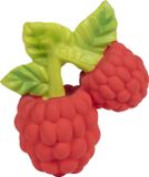 Oli & Carol Valery The Raspberry Bijtspeeltje