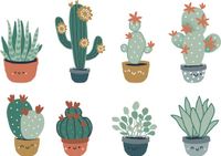 Vertbaudet Cactus-stickers