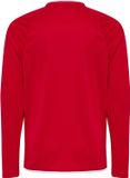 Hummel Kinder-shirt met lange mouwen Hmlcore 2.0 Jersey L/S Kids 230840