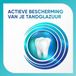 Sensodyne - Dentifrice - Active Shield - Menthe Fraîche - 75ml x 6