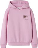 NAME IT Meisjes Sweater 146/152 Begonia Pink