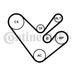 Continental Jeu De Courroies Trapézoïdales À Nervures 6pk1555k4 Vw
