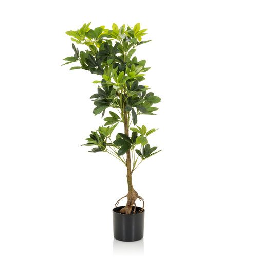 SCHEFFLERA - Kunstplant Groen