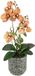 Kunstbloem Bol Kunstbloem - Vlinder - Orchidee met bladeren en luchtwortels in pot van keramiek - Oranje/Groen