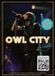 Bertus Distributie Owl City - Live From Los Angeles DVD