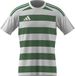 adidas heren Hooped26 Jersey Shirt, white/team green, 3XL