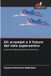 Gli Edizioni Sapienza Gli scramjet e il futuro del volo supersonico Paperback