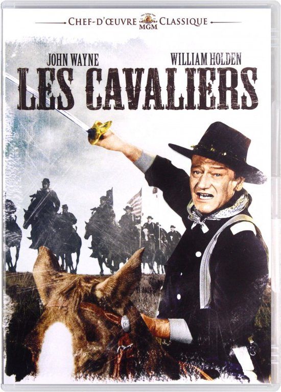 The Horse Soldiers [DVD]