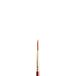 Winsor & Newton Sceptre Gold II 5182702 Aquarelpenseel, Designers penseel, Lange steel, Nr. 2