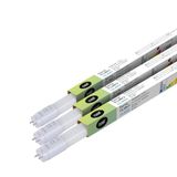 Levitantes Verlichting, Afbeelding
