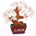 Lachineuse Feng Shui Crystal Quartz Lucky Tree 12cm