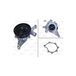 Valeo Pompe à eau, Refroidissement moteur 506820