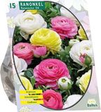 Baltus Bloembollen Ranonkel, Pastel Mix per 15