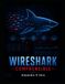 Wireshark comprensible