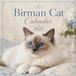 Birman Cat Calendar 2027