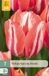 Jub Tulipa Spryng Break bloembol JUB 7 stuks