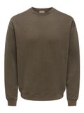 ONLY & SONS Sweatshirt ONSLARRY Sweatshirt