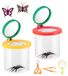 Loupe pour enfants avec grossissement 3x