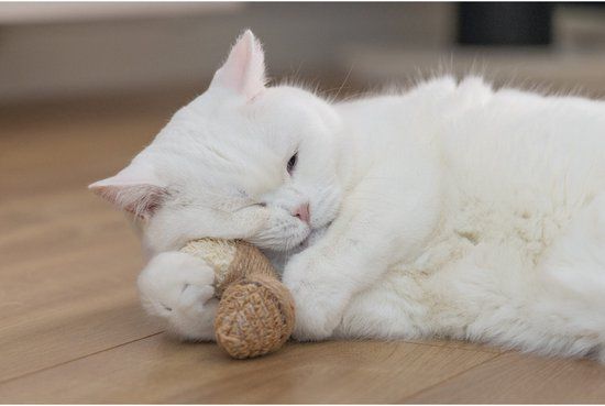 Beeztees Catnip Eikel Terry