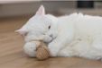 Beeztees Chanvre de chat gland éponge