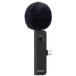 Sony ECM-AX10 Zwart
