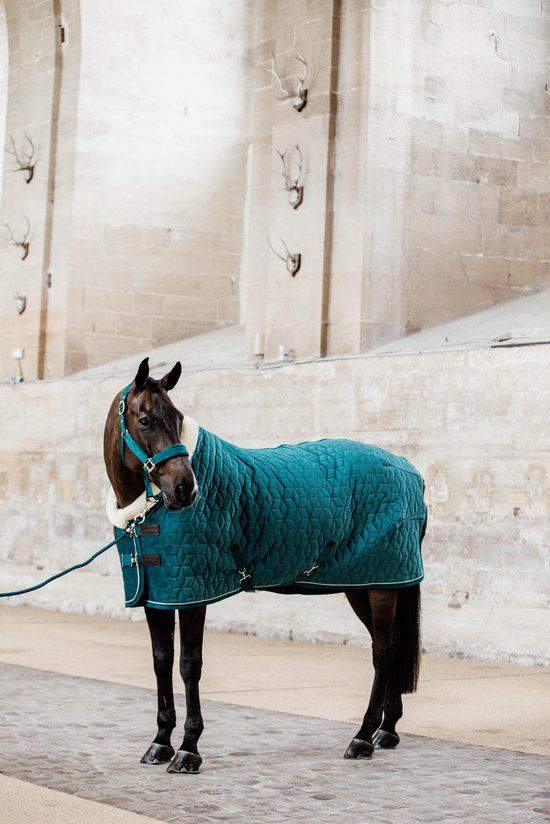 Kentucky Horsewear Showdeken Velvet Tiny 160g Emerald 80