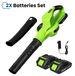 StarTech Accu-aangedreven bladblazer - 21 V - 3000 W - Inclusief 2 accu's - Zuigfunctie - Borstelmoter