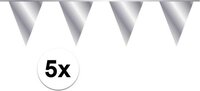 Zilveren Vlaggenlijn - 50 Meter - Verjaardag - Binnen & Buiten