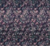 Komar Heritage Fotobehang Botanique Aubergine - HX6-006