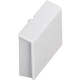Phoenix Contact BC 53,6 BS U11 KMGY boîtier pour rail DIN, bouchon d'extrémité 53,6 Polycarbonate Gris clair 1 pièce